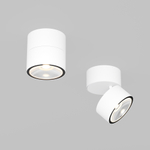 Накладной светодиодный светильник Maytoni Spin O310CL-L12W3K