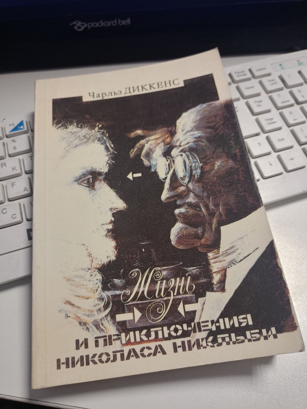Жизнь и приключения Николаса Никльби. В двух томах. Том 1
