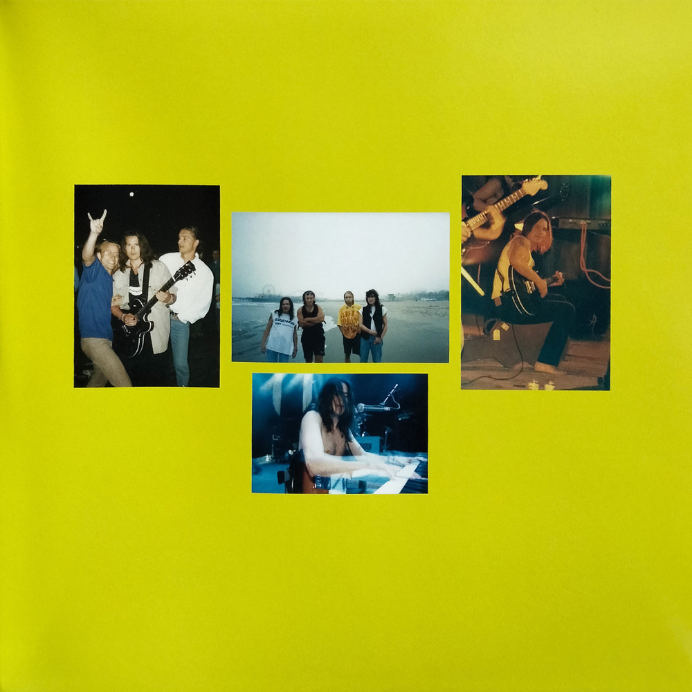 Чиж & Со / Greatest Hits Live (LP)