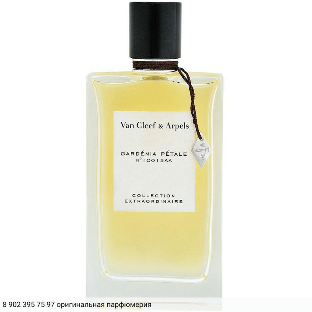 Collection Extraordinaire Gardenia Petale