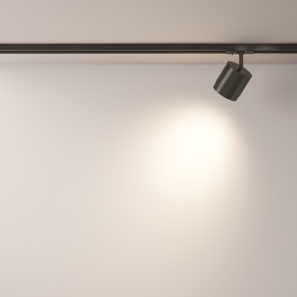 Трековый светильник Maytoni Polar TR088-1-GX53-B