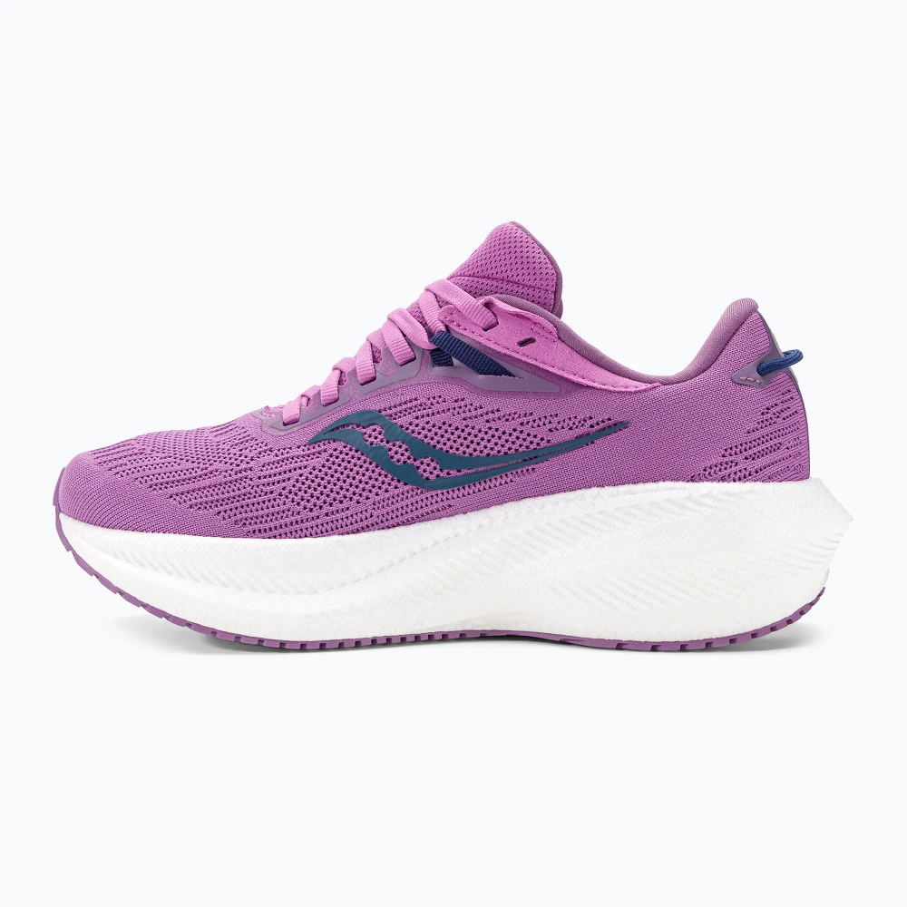 Женские Кроссовки для бега Saucony Triumph 21 grape/indigo