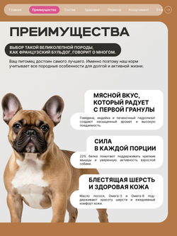 Корм сухой для взрослых собак породы Французский бульдог, с говядиной, 800 гр, QUATTRO