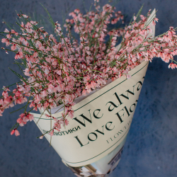 154. Весенний букет из ароматной генисты