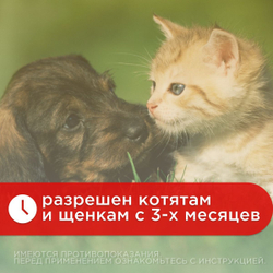 Больфо ошейник от блох и клещей для собак и кошек мелких пород,38см