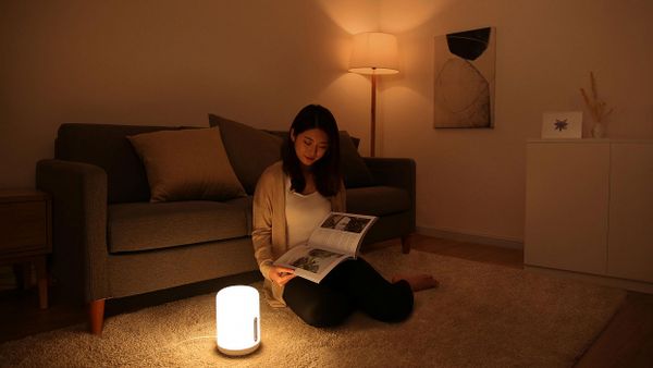 Умная лампа Xiaomi Mijia Bedside Lamp 2 с Apple Homekit