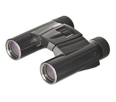 Бинокль KENKO Ultra View 10x25 DH Black