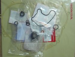 Cooling PUMP Rebuild Kit. Coolant+Oil SEAL set. Honda CRF250-300L, CB/CBR250-300, CMX300 series