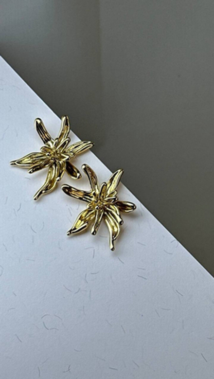 Серьги ростки