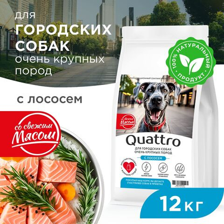Корм сухой для взрослых собак очень крупных пород, премиум полнорационный комплекс, для городских собак, с лососем, 12 кг, QUATTRO