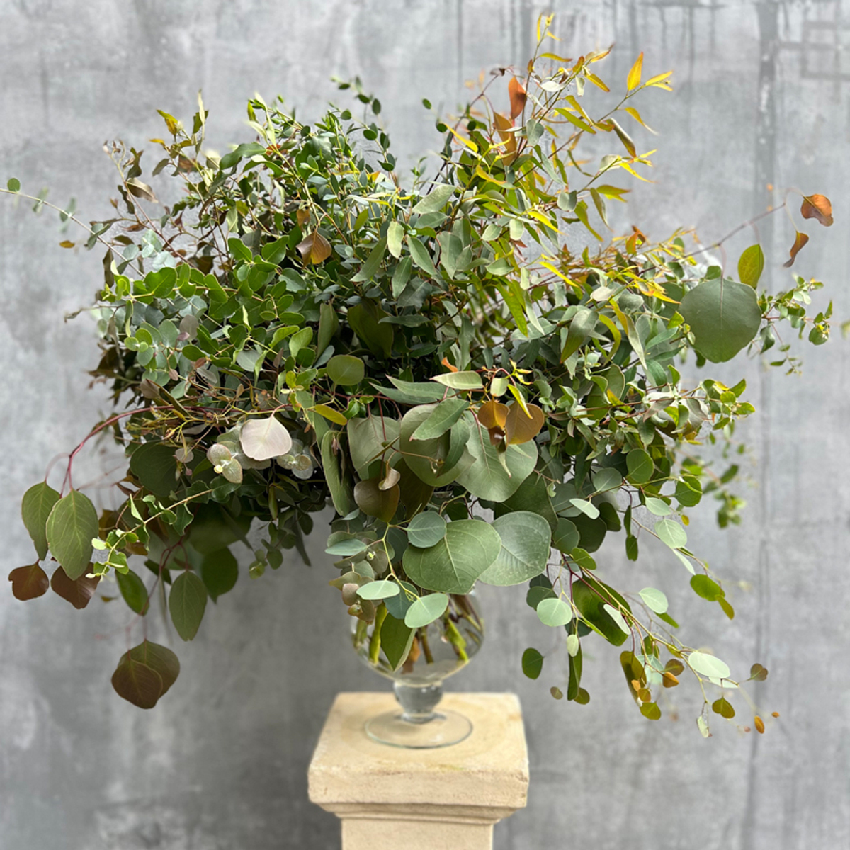 🍀 Музыка трепетных листьев — звучание множества сортов эвкалипта — Ø ~ 90 см