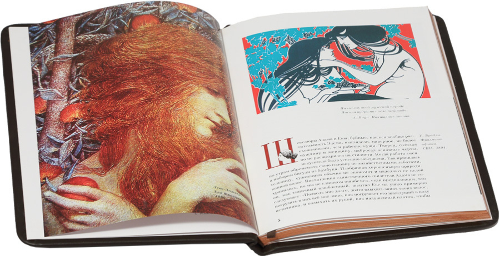 История женских причёсок