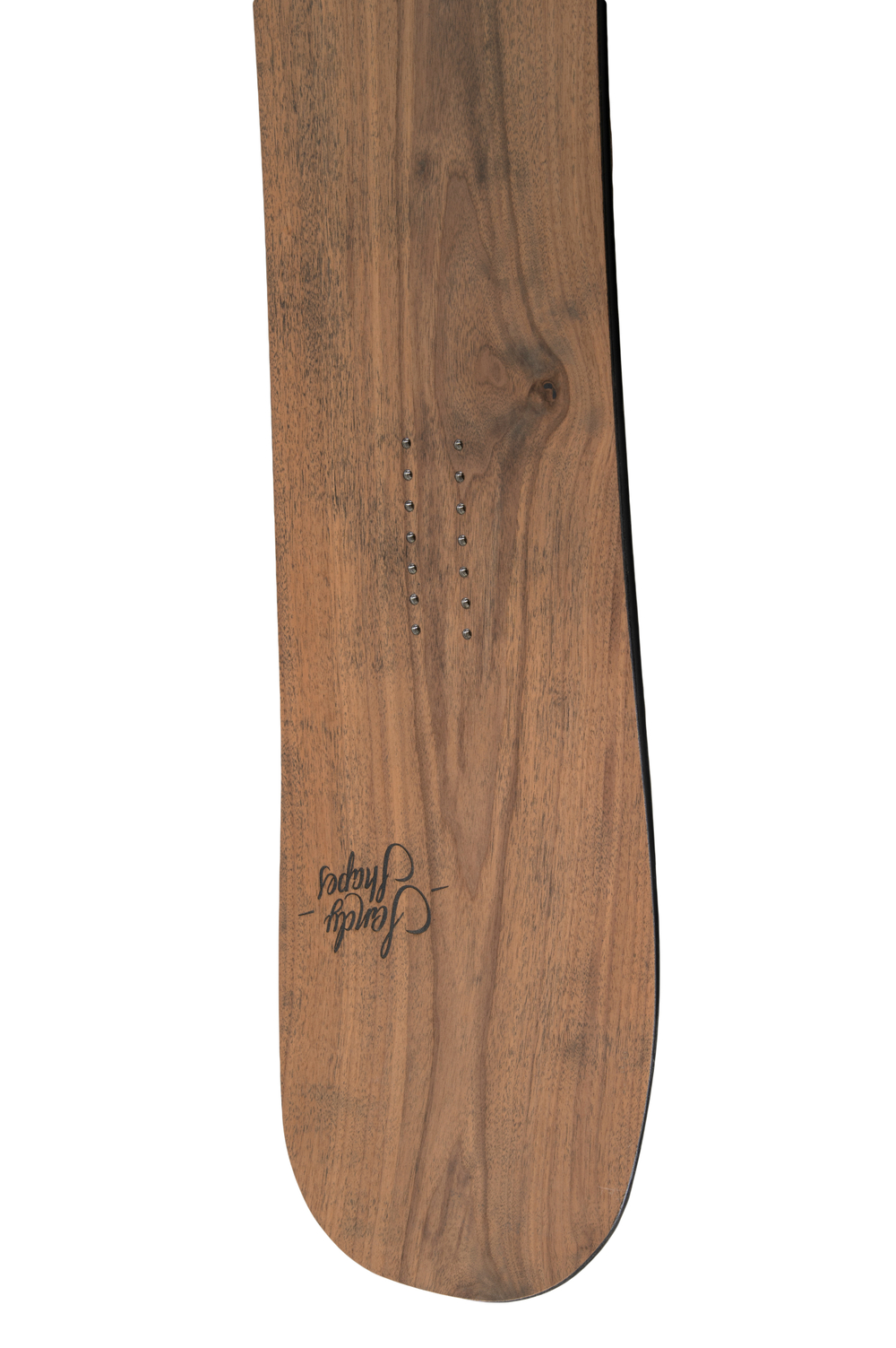 WILD x SANDY SHAPES Zingara