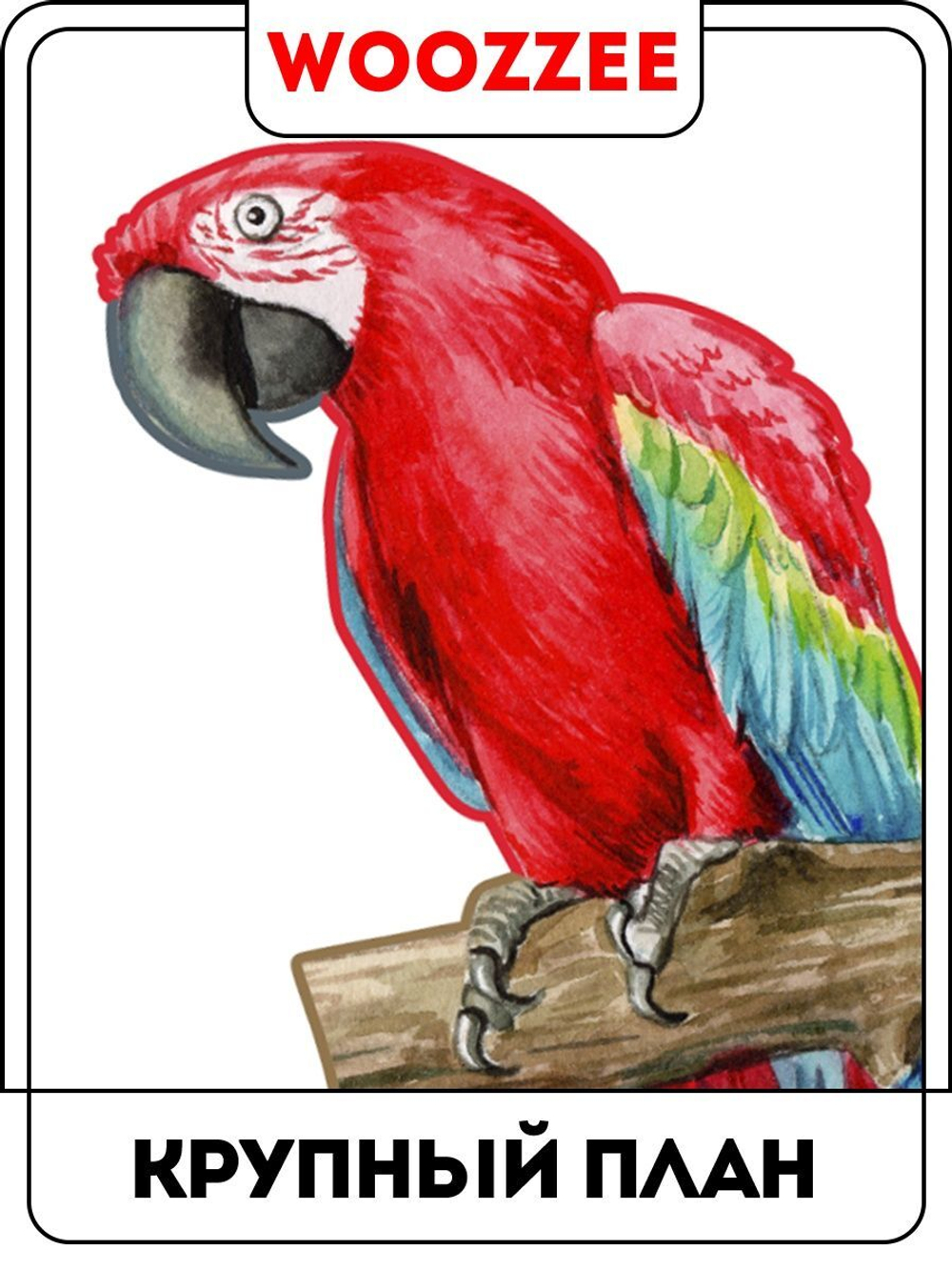 Наклейка декоративная "Попугаи"