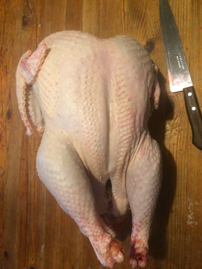 Индейка домашняя: предзаказ