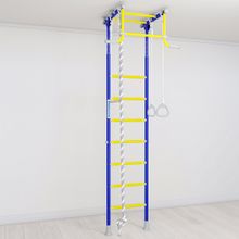 Домашний спортивный комплекс ROMANA Р2, синяя слива