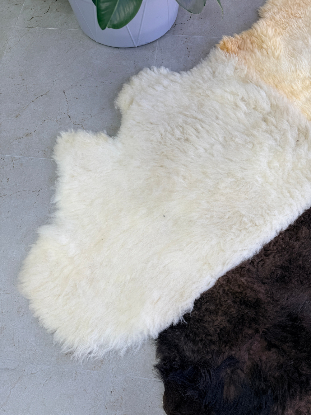 Ковер шкура натуральная овчина Меховой