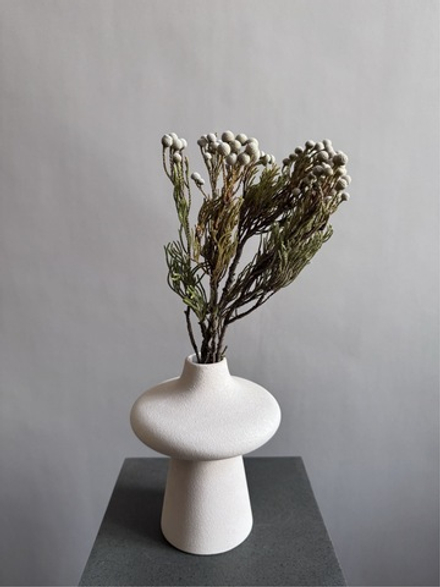 Бруния Спрей (упак 5 шт)