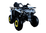 Квадроцикл AVANTIS Forester Long 200 Basic