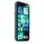 Чехол силиконовый для IPhone 13 Pro Blue Jay (MM2G3ZE/A)