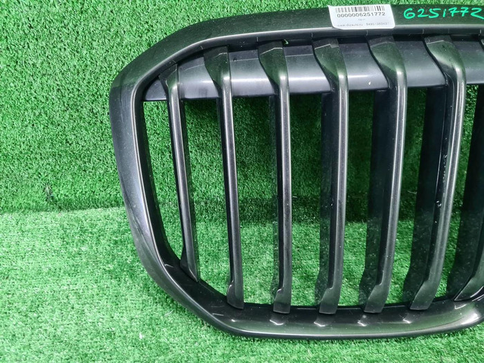 Решётка радиатора BMW X7 G07 (2019-2022)