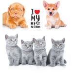 Тетрадь 48л, А5, линия, Спейс Pets