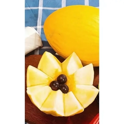 Семена Дыня Ранняя Сладкая (УД) 10шт Е/П