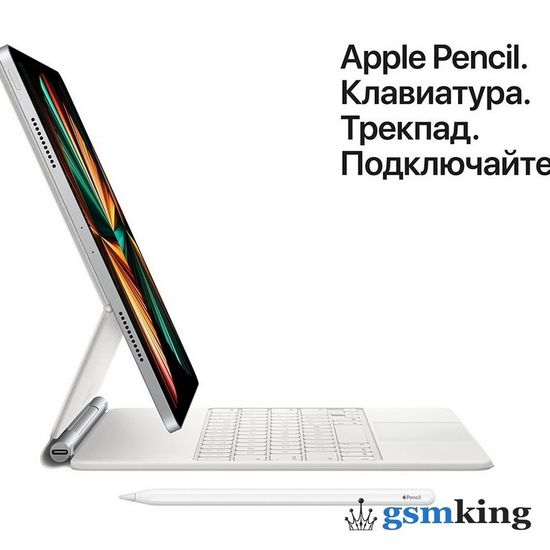 Apple iPad Pro 11-inch M1 2021 1TB Wi-Fi Silver MHR03RU/A