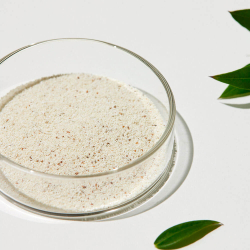Sungboon Editor Green Tomato Deep Pore Clean Enzyme Powder Wash энзимная пудра для сужения и очищения пор с зелеными томатами