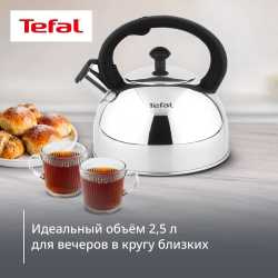 Чайник для плиты Tefal Wave 2.5 л N4210217