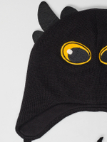 Шапка весенняя/осенняя вязаная БЕЗЗУБИК (Черный)