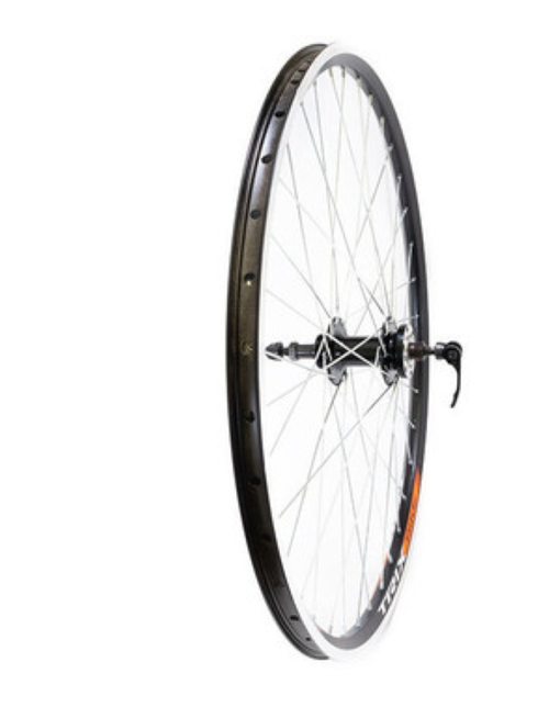 Колесо заднее 28-29" TRIX, профиль алюминиевый, двойной, 36H, пистонированный, 622х19,4/25х21,4мм, A/V, анодированный, черный, втулка алюминиевая, под ДИСК, под трещотку, эксцентрик, черная, спица черная