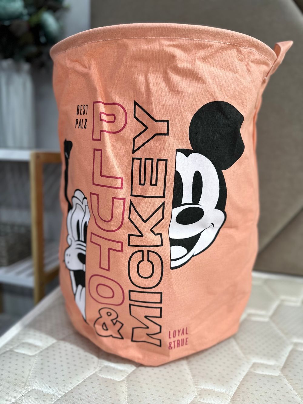 Органайзер КОРЗИНА ДИСНЕЙ