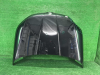 Капот Skoda Kodiaq (2016-н.в.) (В пленке)