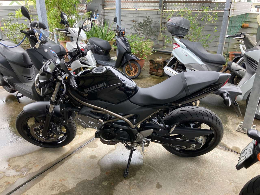 Suzuki SV650  027620