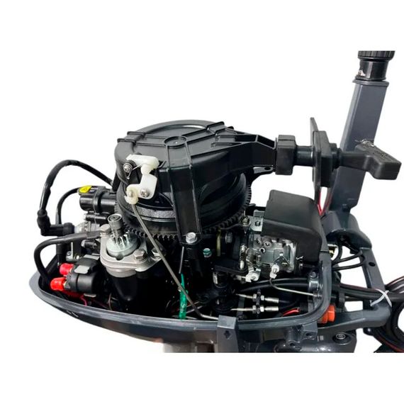 Лодочный мотор Baikal Т 9.8 л.с fast start (электростартер) двухтактный