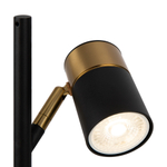 Настольная лампа Freya Enzo FR5201TL-01B