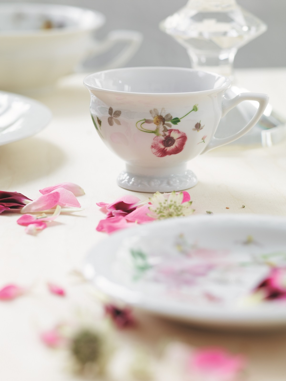 Rosenthal Чашка для эспрессо Maria Rose 80 мл