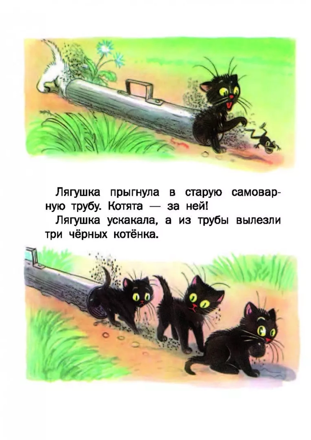 Сказки. Сутеев