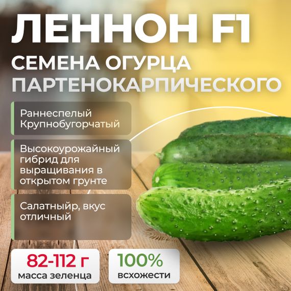 ЛЕННОН F1 семена огурца (Rijk Zwaan) культура