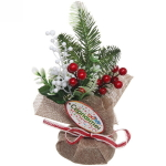 Хвойная композиция «Милый горшочек» 25*10 см