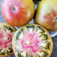 Помидоры Аляска Медная Река - Copper River Tomato