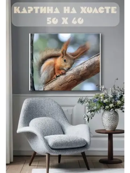 Картина на стену 40 X 50 Белка