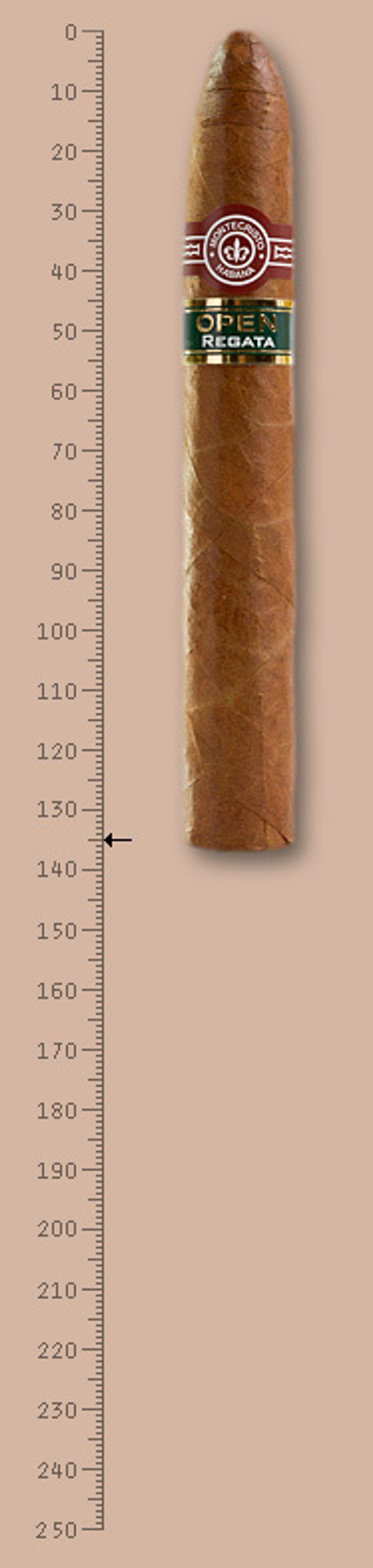 Montecristo Open Regata