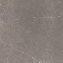 Stone Micado Grey Керамогранит серый 60х60 Полированный