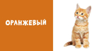 Мои первые слова. Фото-книга. Цвета МИНИ (нов.)