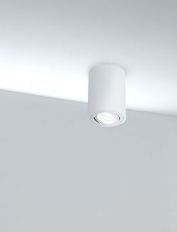 Потолочный светильник Maytoni Alfa C016CL-01W