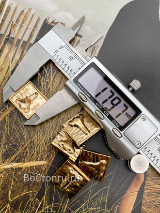 Пуговицы Скиапар. золотистые "Нос"