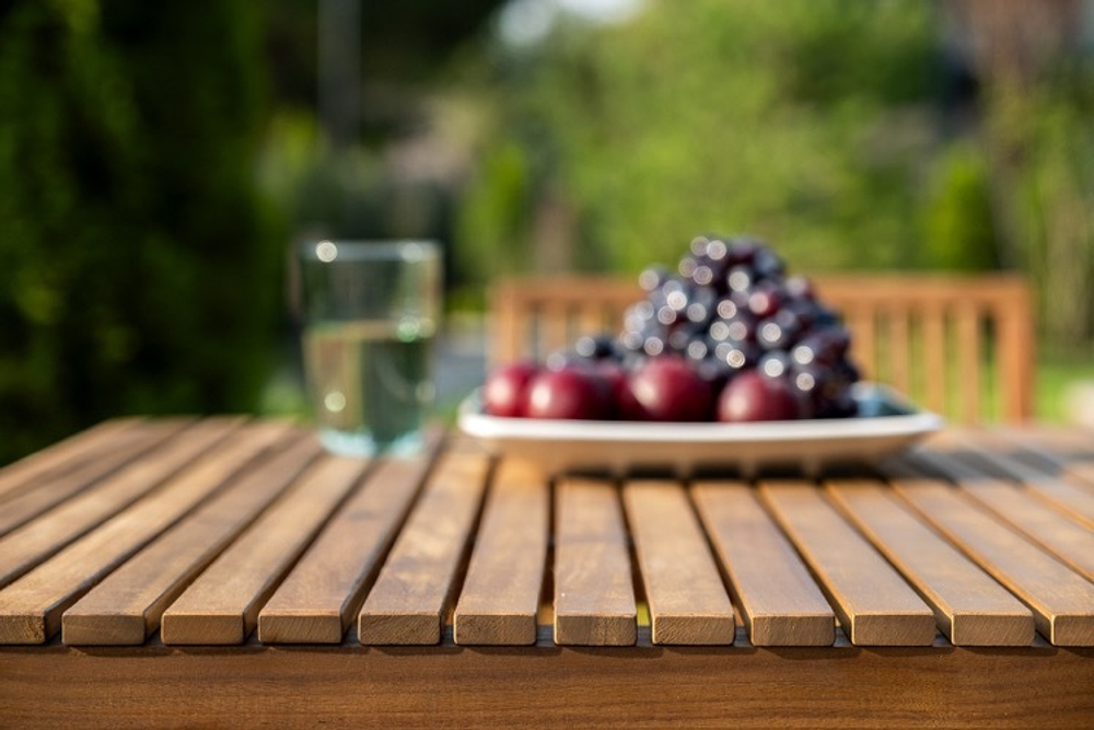 Обеденная группа из акации MONA L