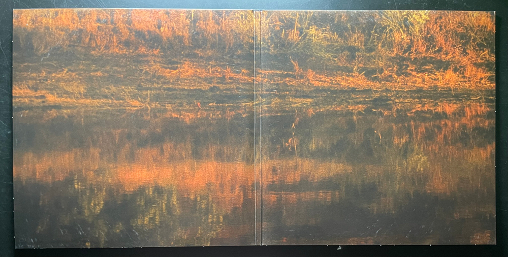 Post Malone ‎– Hollywood's Bleeding 2LP (Европа 2020г.) Pink